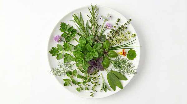 Aromáticas