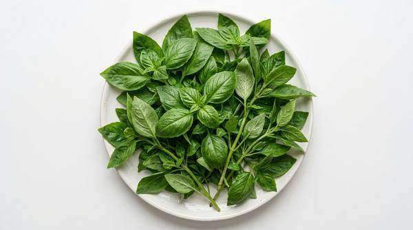 Albahaca