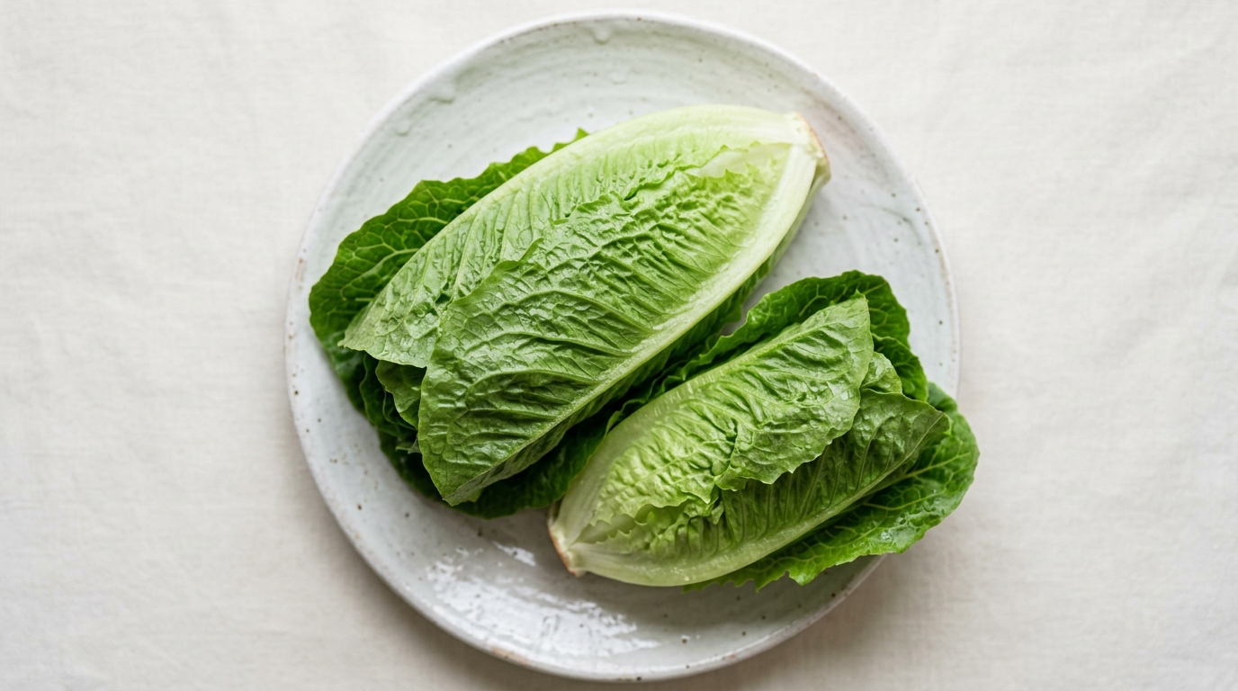 Lechuga Romana — Huerto de Autor Medellín